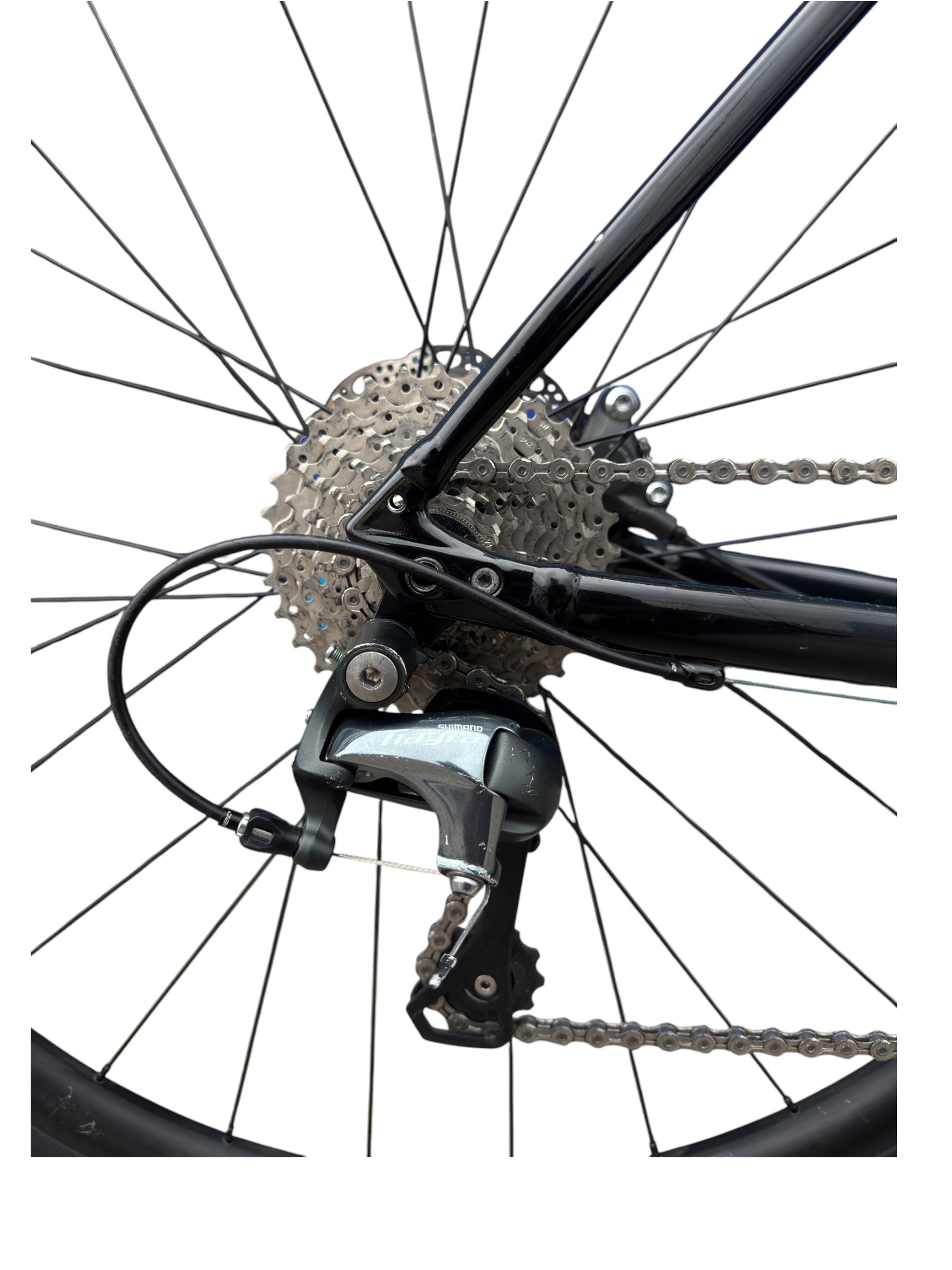 SPECIALIZED ALLEZ