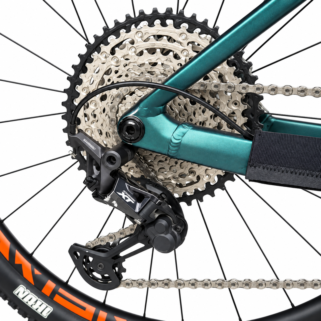 ORBEA ALMA